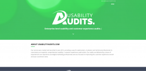 usability-audits